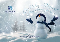 С наступающим Новым Годом! С наступающим Новым Годом!