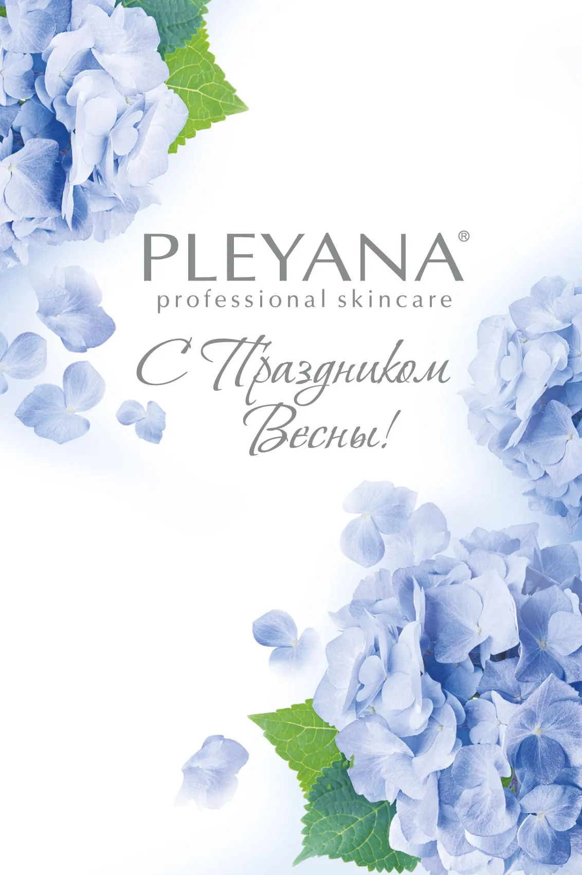 Поздравительная открытка PLEYANA